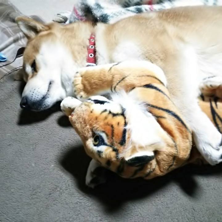 3b6dafc0 87b8 4c6e 81c6 26183f36797d