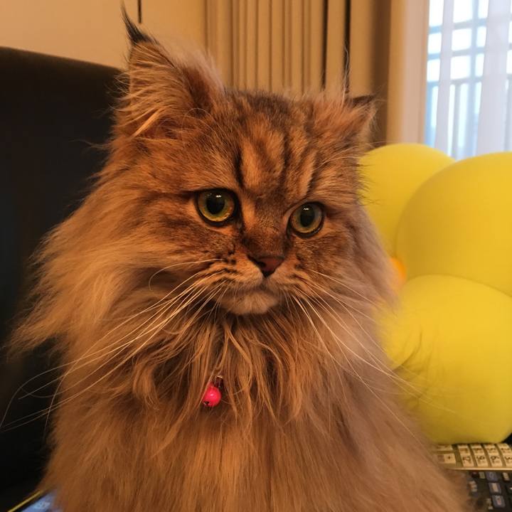 3b6df601 6c15 4f6e 8a5c 30892f1266a0