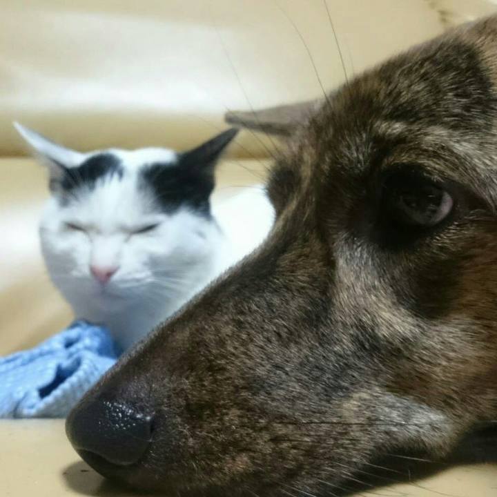 3b6e9191 1625 4e28 b5ac 26ba49ef838d