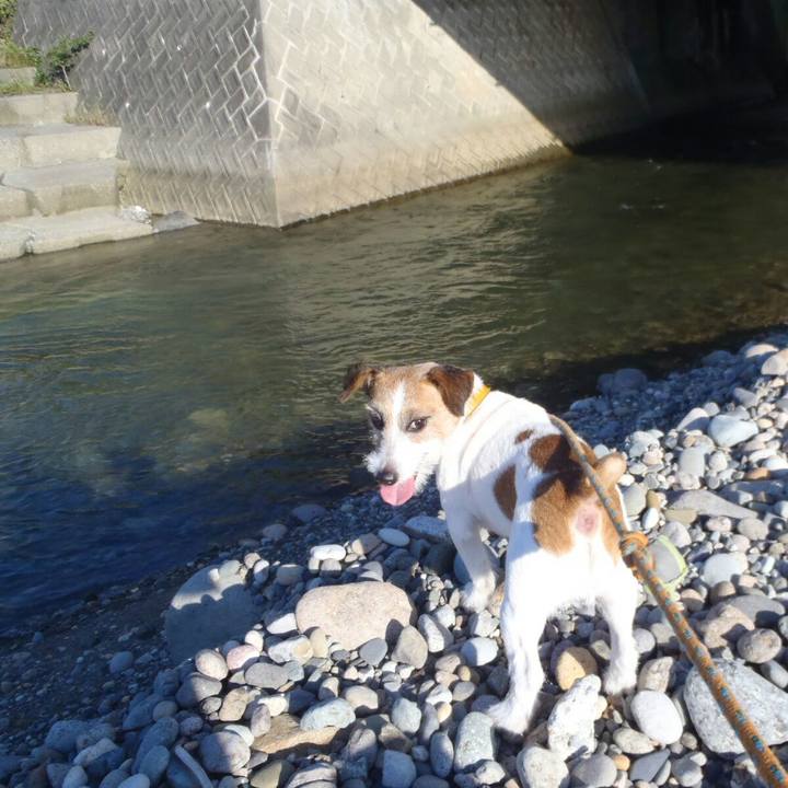 3b6eb1e7 c0a1 4358 9d9f 3ce4cc546e7e