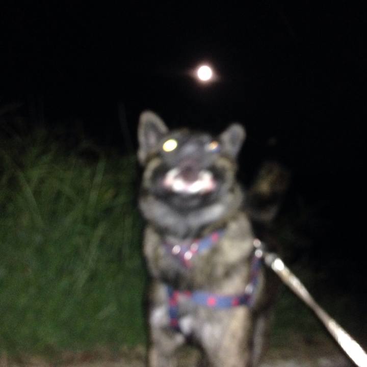 3b6fa47c 3585 4554 b93c d439bb0f7be2