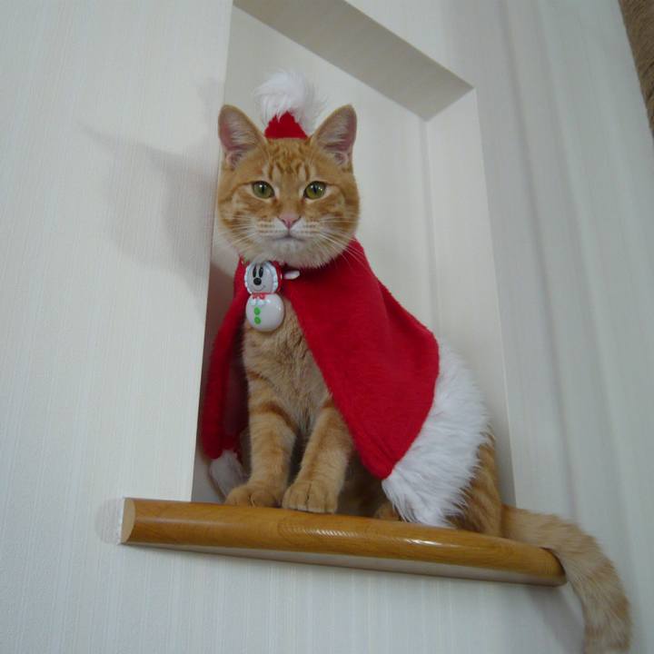 3b6fc6d4 da0c 4853 a507 a56c2c07f314