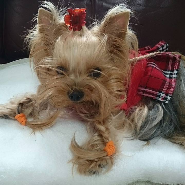 3b707ca6 dfd4 47e9 a125 e1225175a5b9