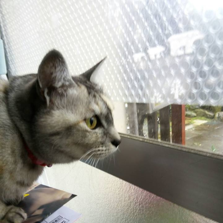 3b70c096 5646 4366 9901 0edf00d83a1c