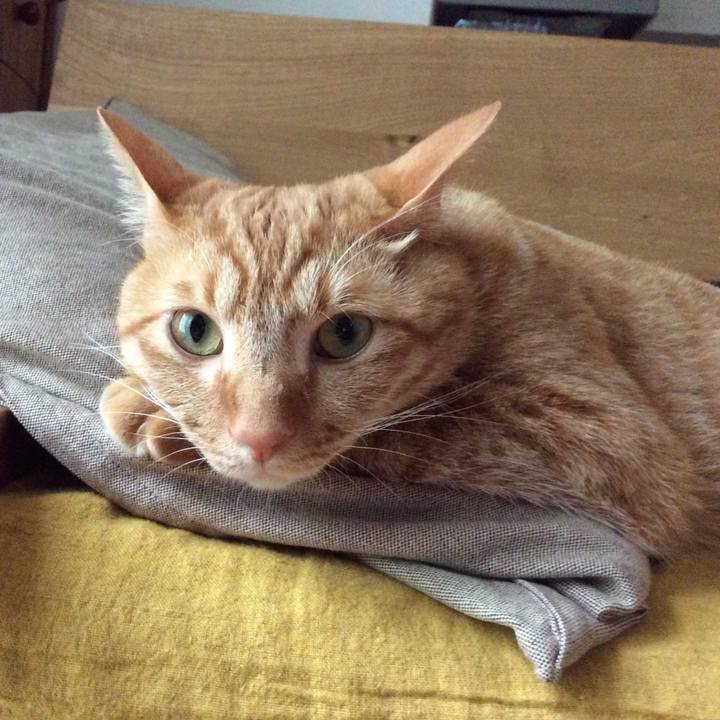 3b717e51 018b 4576 a7a6 06cd843379a9