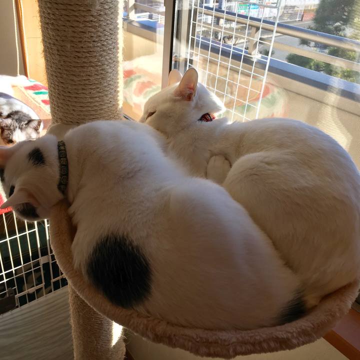 3b71ba7d 6884 48f9 ad00 0f3c30caa71b