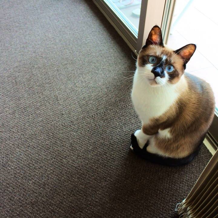 3b71be07 3293 4542 a5b1 29381941ad3b