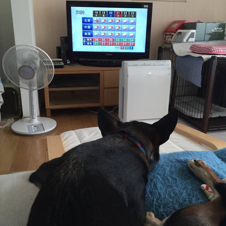 3b71ddbc 0018 41d9 bd30 f88bce33dc05