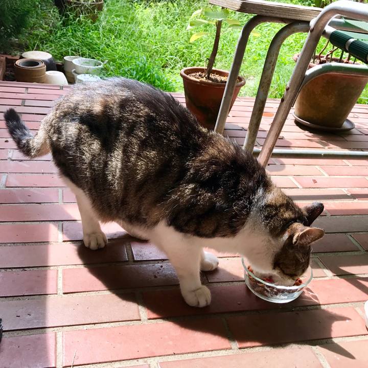 3b725c72 1b95 45e3 8c86 735468c9759d