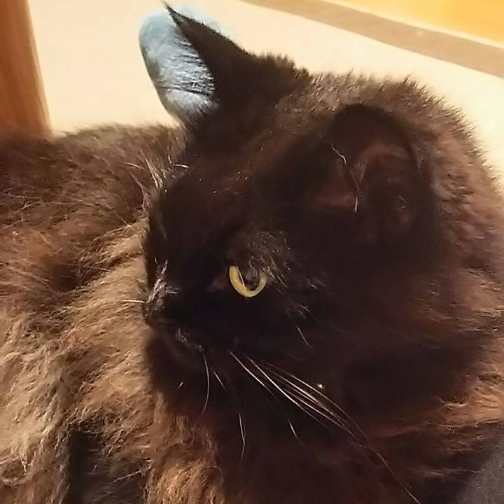 3b7278de b438 43b5 9717 137ef68274d2