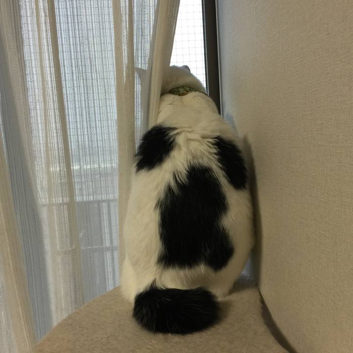 3b728980 523c 4d32 9b8e 5095287ebb5b