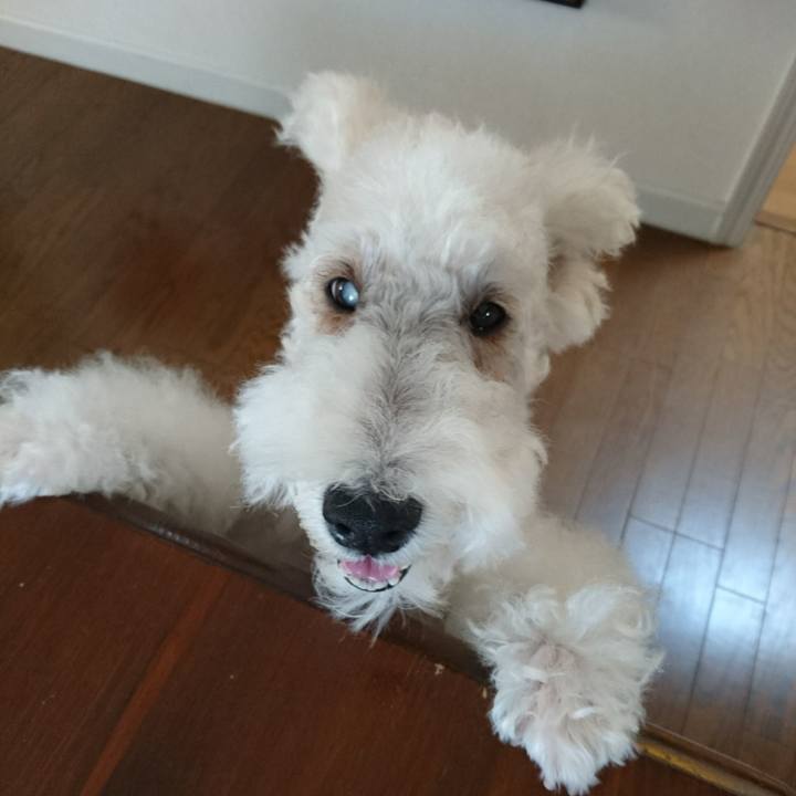 3b72c72f 16de 4532 a784 a849d7644aee