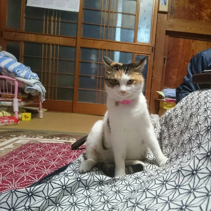 3b73921d 03ef 4e0b 9349 afce06fe8382