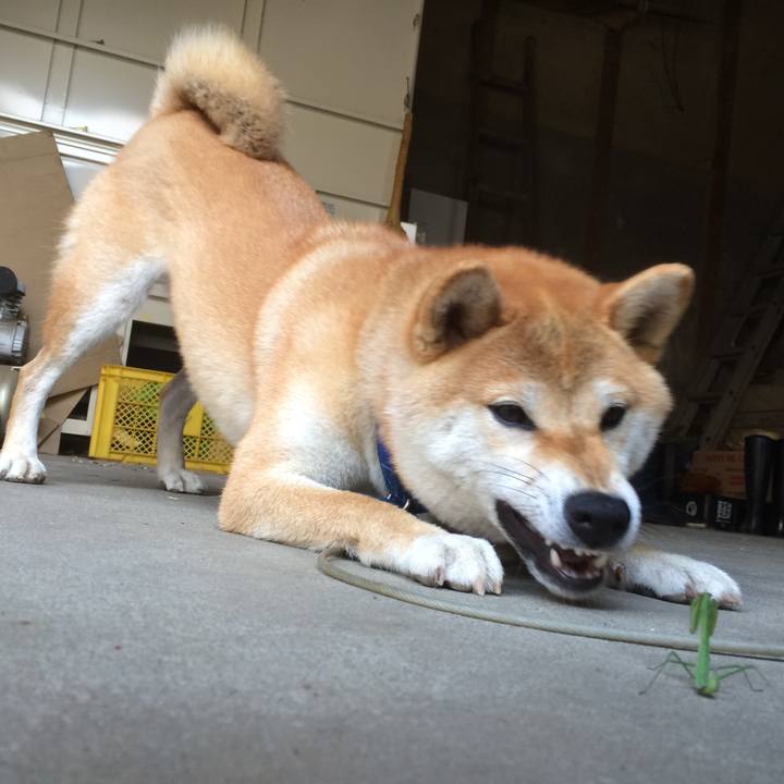 3b73c62e 3f54 413f 8926 c7d93f3ed10c