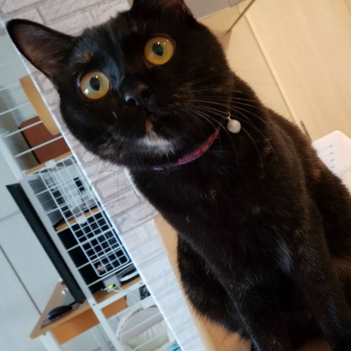 3b742318 fa34 4ccc 9085 562344946260