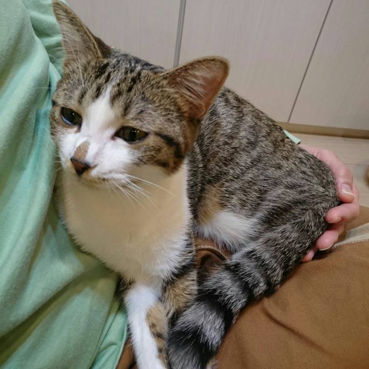 3b743eb2 3477 4b98 b05f eb50cf71fc47