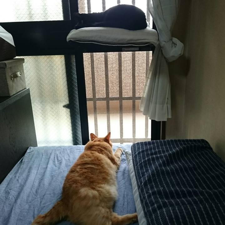 3b74cc76 065b 4bbe 9f42 eb516c468f7a