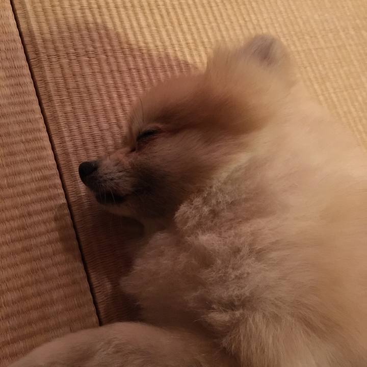 3b76433a 3d25 465d 96d2 b65a2af9c100