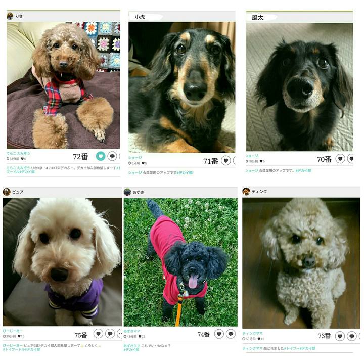 3b772a14 a2cf 4cb1 8a26 8e3b70cb7be7