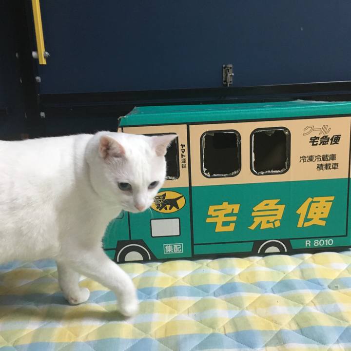 3b779fd9 62ae 4fd1 ab9f d5e3a5ce18c6