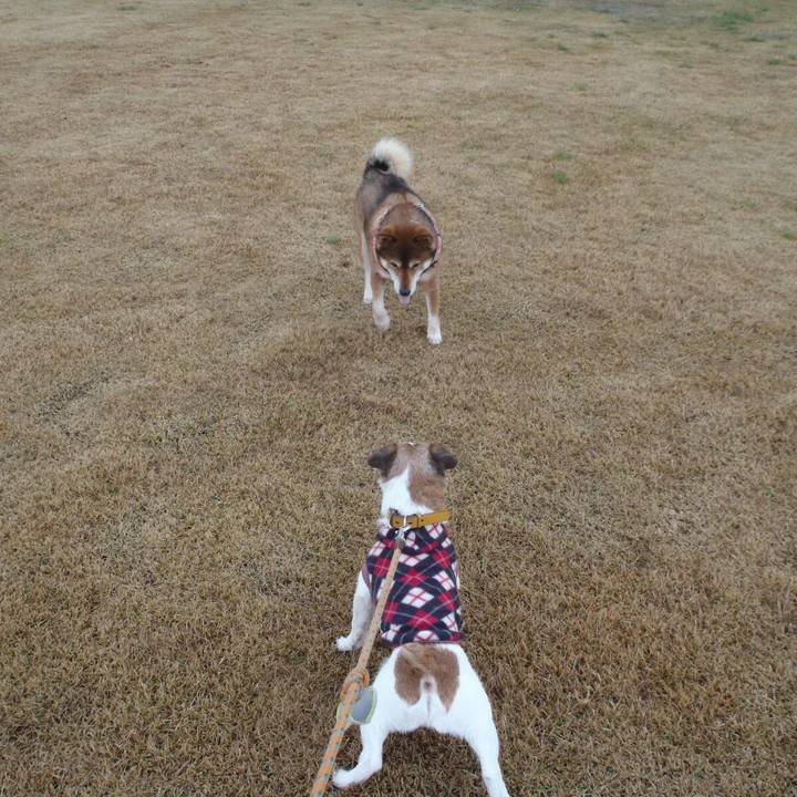 3b781d02 c084 4000 aaa2 f2010de7b056