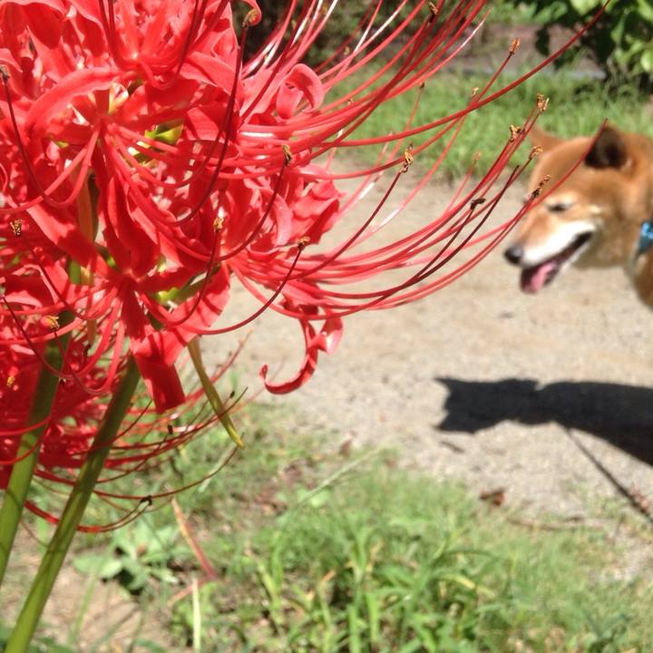 3b783b9a 9061 44bc a166 73878a9a0ac6