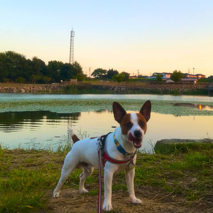 3b788e21 5f08 4b0c 88df 38e6e9f14d5b