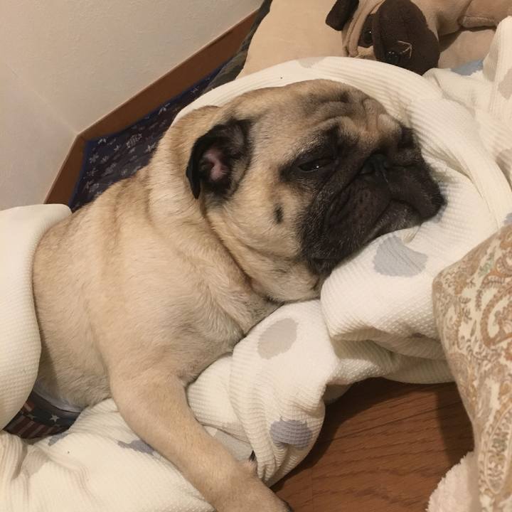 3b789084 140b 44a3 8db4 03c0518ff229