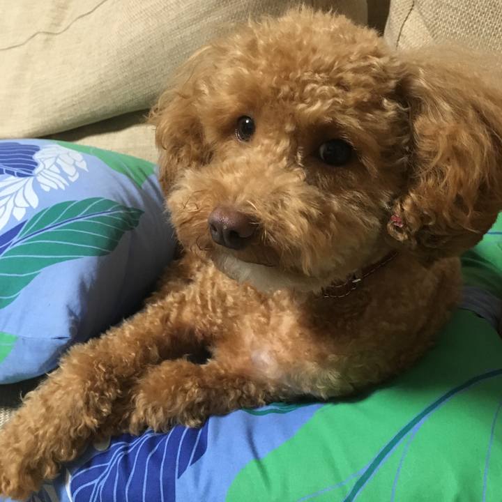 3b78ae9e 1a61 4412 9751 158e7ede730a