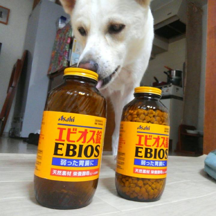 3b790804 f34a 42f9 90c5 22f6737cc53a