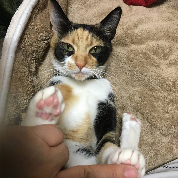 3b79a80c e1e5 420e 82e8 07384c549c48