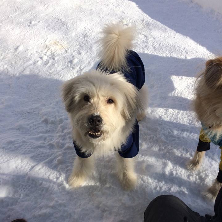 3b79f55f 7ac0 401f b832 66b1e665cb4d