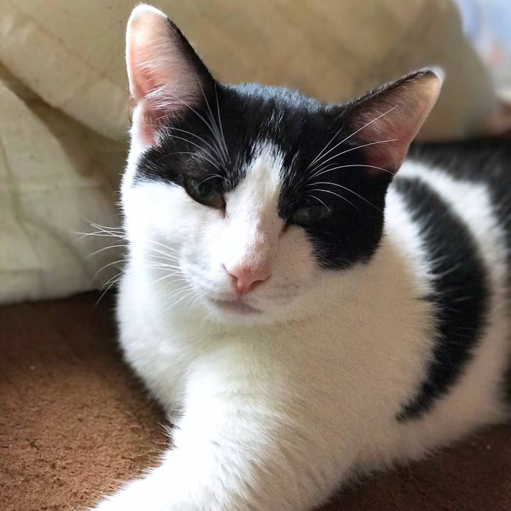 3b7b2c5f 283e 461e 81f4 13fc62eb4b02