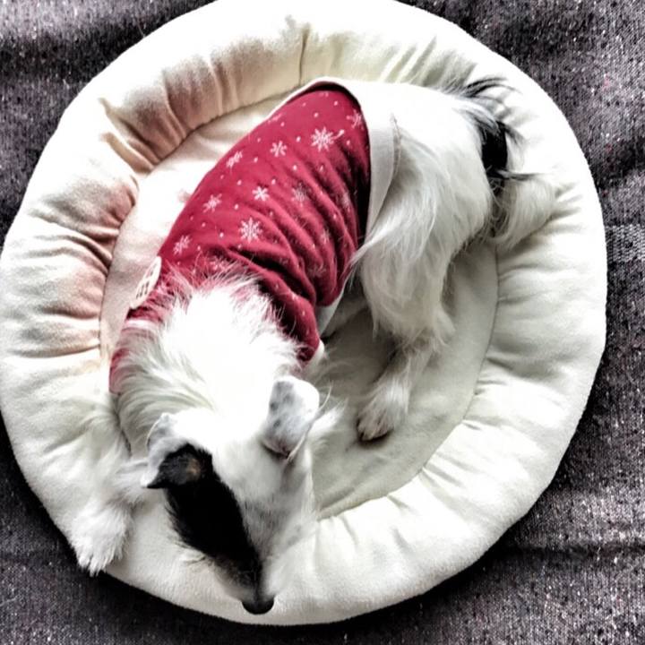 3b7b5a74 54dd 449f b9d7 2c9e21d8fcf5