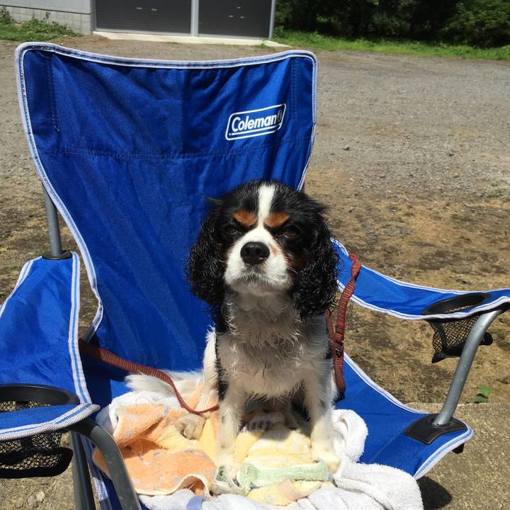 3b7ba6fe ba09 4a81 8e1d 8a175d5f94b8