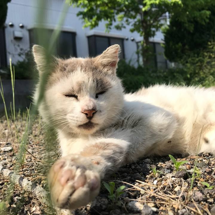 3b7d2c33 c347 4cea abbe 55eeb13e103f