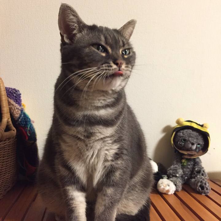 3b7d5f14 a8f9 45c9 8608 dd297770f7e5