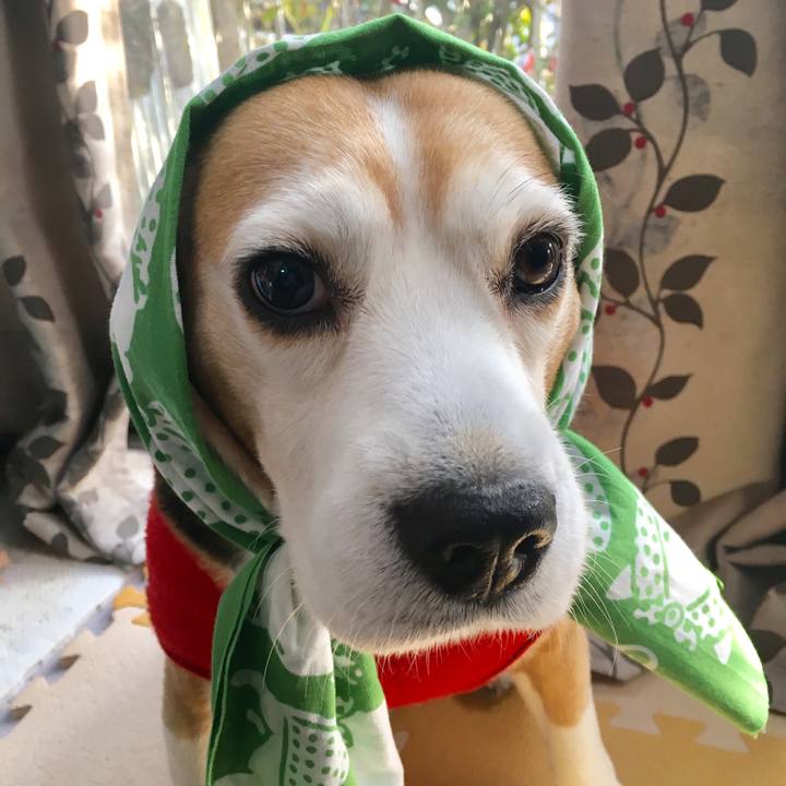 3b7e70e8 8b52 40f8 825a fabda9a1a04d