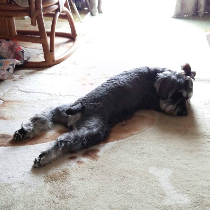 3b7e880f 90a7 493c b47d f66f79e76fa9