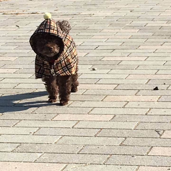 3b7f9470 1f40 4210 9089 b1e722fe4c8c