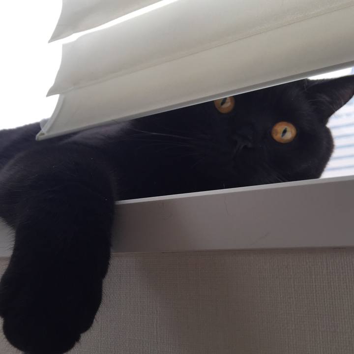 3b7fc3cd a236 4bcd bd98 6ec37b127aa8