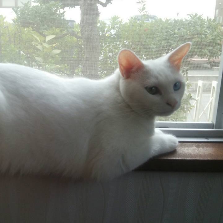 3b7ff078 d1e8 44af a47f fa6f650c90a7