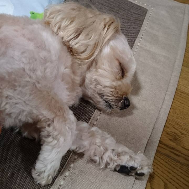 3b7ff2e9 d7a1 47a3 ad28 7ed4a25c7db2