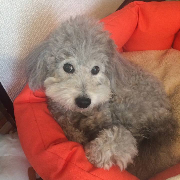 3b80005e 65ec 4966 9401 a220e461223c