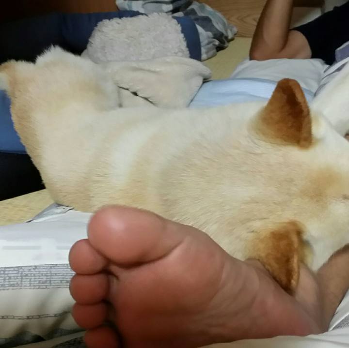 3b809797 fe87 429d b8bf 092bf1360aca