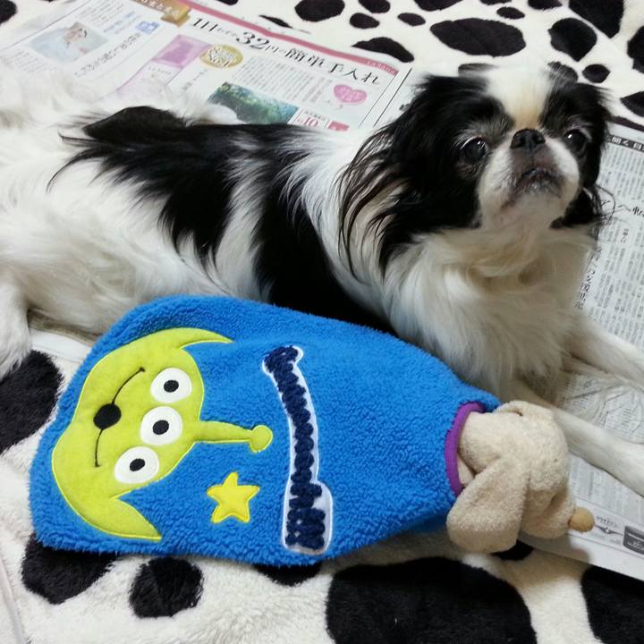 3b81864b 0abf 4cfd 9eff 96e67905d901