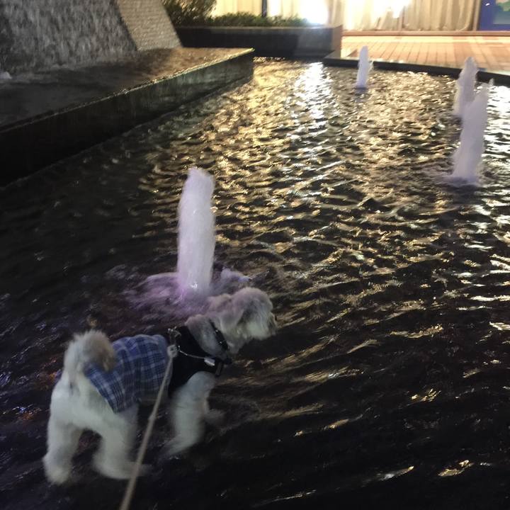 3b81da0e 711c 4dcd b167 f8e8304bf646