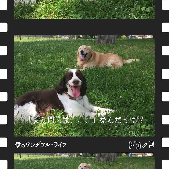 3b823f2b 2ee6 4d17 b2e1 8a51810f9ff6