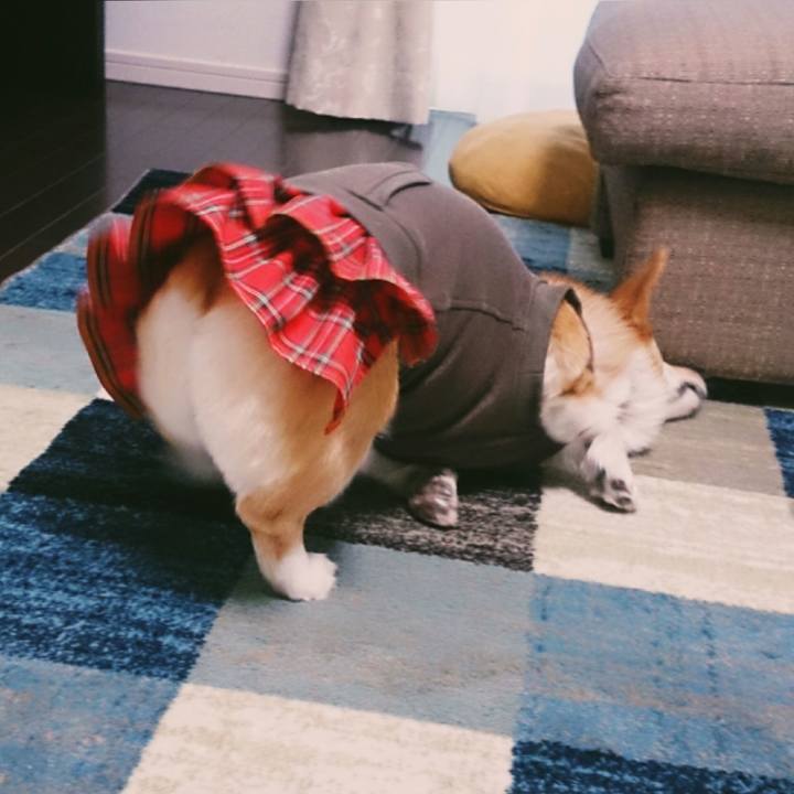 3b826e2d 7f14 44bb 9ee8 0defed38add3