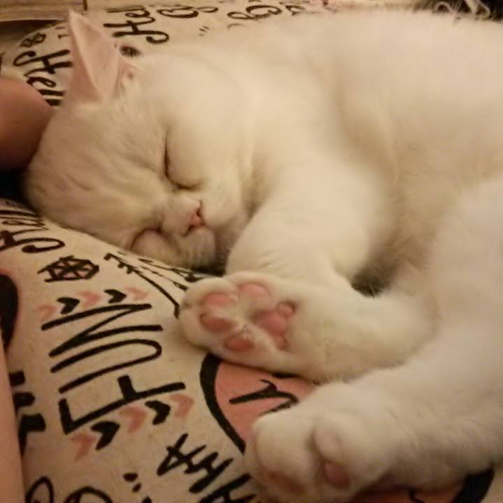 3b82754f fb09 4403 8bb1 4b4e232c4648